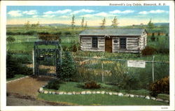 Roosevelt's Log Cabin Postcard