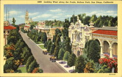 Looking West Along The Prado, Balboa Park San Diego, CA Postcard Postcard