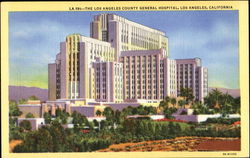 The Los Angeles County General Hospital California Postcard Postcard