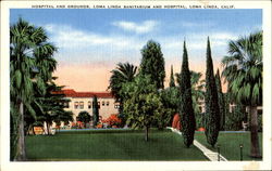 Hospital And Grounds Postcard