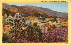 Cholla Cactus And Desert Flowers Postcard