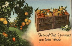 The Box Of Fruit Postcard