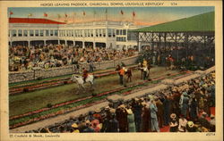 Horses Leaving Paddock Louisville, KY Postcard Postcard