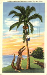 Honey Come Down We'se Waitin Fo You In Florida Postcard