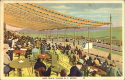 Race Track Tijuana, BC Mexico Postcard Postcard