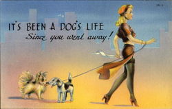 It's Been A Dog's Life Since You Went Away! Postcard