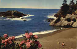 Pacific Ocean Seacoast Scenic, OR Postcard Postcard