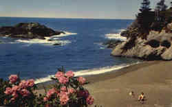 Pacific Ocean Seacoast Postcard