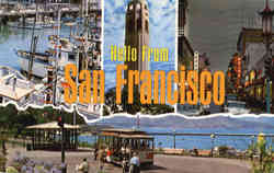 Hello From San Francisco Postcard