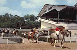 River Downs Cincinnati, OH Postcard Postcard