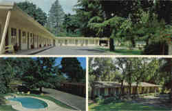 El Bonita Motel Postcard