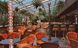 The Greenhouse Lounge Postcard