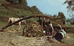 Bob Evans Farms Postcard