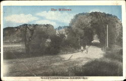 The Willows Postcard