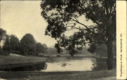 Washington Park Springfield, IL Postcard Postcard