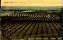 Heart Of Oregon's Orchard District Postcard