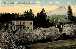 Mount Hood From Hood River Scenic, OR Postcard Postcard