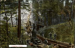 Logging Scene Postcard