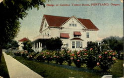 Hedge Of Carolina Testout Roses Portland, OR Postcard Postcard