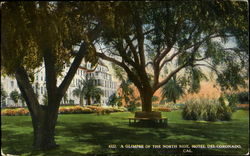 A Glimpse Of The North Side Hotel Del Coronado Postcard