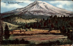 Mt. Shasta From Edgewood, Shasta Route Postcard