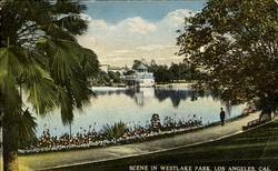 Scene In Westlake Park Los Angeles, CA Postcard Postcard