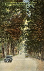 Along State Highway Postcard