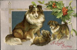 Collie Dog & Puppies Christmas Postcard Postcard