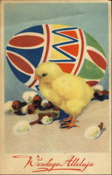 Wesotego Alleluja Easter Egg With Chicks Postcard Postcard