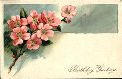 Birthday Greetings Postcard