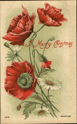 Poppies A Merry Christmas Flowers Postcard Postcard