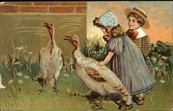 Thanksgiving Greetings Postcard