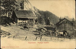 Alpenweide mountain, Switzerland Postcard Postcard