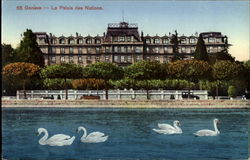 Le Palais des Nations Postcard