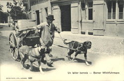 Milkman with two dogs Bern, Switzerland Postcard Postcard