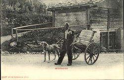 Milk Cart Scenic, Switzerland Postcard Postcard