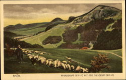 Mountains, sheep and sheepherder Postcard