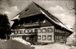 Gasthaus zum Ochsen Postcard