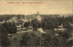 Jungborn (im Harz) - Partie aus dem Friedrichspark Bad Harzburg, Deutschland Germany Postcard Postcard