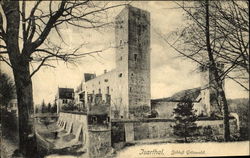 Castle "Gruenwald Isarthal, Germany Postcard Postcard