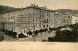 Tepler Haus Marienbad, Germany Postcard Postcard