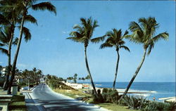 View Of Beach As Seen From Ocean Blvd Postcard