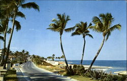 View Of Beach As Seen From Ocean Blvd Palm Beach, FL Postcard Postcard