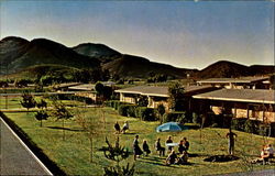 Ventura Estates Newbury Park, CA Postcard Postcard