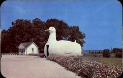 The Big Duck Postcard