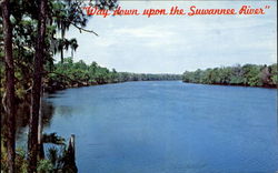 Florida's Beautiful Suwannee River Scenic, FL Postcard Postcard