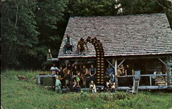 People Standing outside Cabin and Sitting on Roof Postcard Postcard