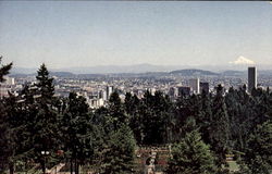 In The Japanese Garden Portland, OR Postcard Postcard