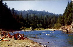 Richardson Grove State Park Postcard