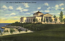 John G. Shedd Memorial Aquarium Postcard